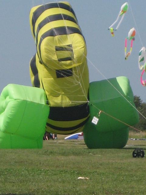 schillig 071.jpg